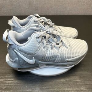 Nike LeBron Witness 7 TB Wolf Grey DZ3299-002